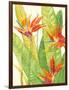 Watercolor Tropical Flowers III-Tim OToole-Framed Art Print