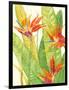 Watercolor Tropical Flowers III-Tim OToole-Framed Art Print