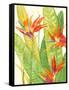 Watercolor Tropical Flowers III-Tim OToole-Framed Stretched Canvas