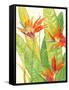 Watercolor Tropical Flowers III-Tim OToole-Framed Stretched Canvas