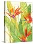 Watercolor Tropical Flowers III-Tim OToole-Stretched Canvas