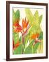 Watercolor Tropical Flowers IV-Tim OToole-Framed Art Print