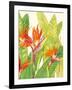 Watercolor Tropical Flowers IV-Tim OToole-Framed Art Print