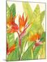 Watercolor Tropical Flowers IV-Tim OToole-Mounted Art Print
