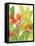 Watercolor Tropical Flowers IV-Tim OToole-Framed Stretched Canvas