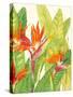 Watercolor Tropical Flowers IV-Tim OToole-Stretched Canvas