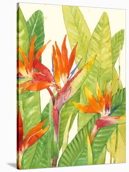 Watercolor Tropical Flowers IV-Tim OToole-Stretched Canvas