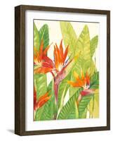 Watercolor Tropical Flowers IV-Tim OToole-Framed Art Print