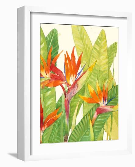 Watercolor Tropical Flowers IV-Tim OToole-Framed Art Print