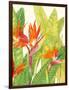 Watercolor Tropical Flowers IV-Tim OToole-Framed Art Print