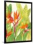 Watercolor Tropical Flowers IV-Tim OToole-Framed Art Print