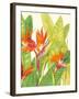 Watercolor Tropical Flowers IV-Tim OToole-Framed Art Print