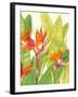 Watercolor Tropical Flowers IV-Tim OToole-Framed Art Print