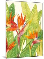 Watercolor Tropical Flowers IV-Tim OToole-Mounted Art Print