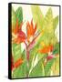 Watercolor Tropical Flowers IV-Tim OToole-Framed Stretched Canvas