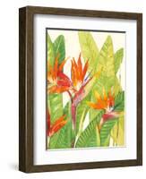 Watercolor Tropical Flowers IV-Tim OToole-Framed Art Print