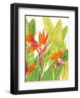 Watercolor Tropical Flowers IV-Tim OToole-Framed Art Print