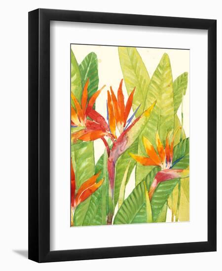 Watercolor Tropical Flowers IV-Tim OToole-Framed Art Print