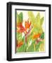 Watercolor Tropical Flowers IV-Tim OToole-Framed Art Print