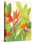 Watercolor Tropical Flowers IV-Tim OToole-Stretched Canvas