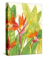 Watercolor Tropical Flowers IV-Tim OToole-Stretched Canvas