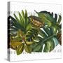 Watercolor Tropical Leaf Pattern-tanycya-Stretched Canvas