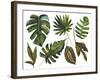 Watercolor Tropical Leaf Set-tanycya-Framed Art Print