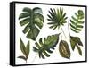 Watercolor Tropical Leaf Set-tanycya-Framed Stretched Canvas