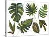 Watercolor Tropical Leaf Set-tanycya-Stretched Canvas