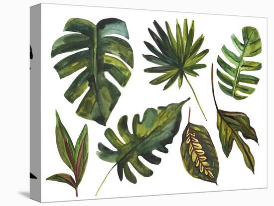 Watercolor Tropical Leaf Set-tanycya-Stretched Canvas