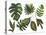 Watercolor Tropical Leaf Set-tanycya-Stretched Canvas