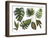 Watercolor Tropical Leaf Set-tanycya-Framed Art Print