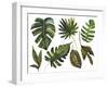 Watercolor Tropical Leaf Set-tanycya-Framed Art Print