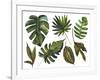 Watercolor Tropical Leaf Set-tanycya-Framed Art Print