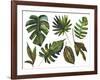 Watercolor Tropical Leaf Set-tanycya-Framed Art Print