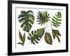 Watercolor Tropical Leaf Set-tanycya-Framed Art Print