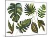 Watercolor Tropical Leaf Set-tanycya-Mounted Art Print