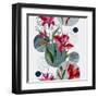 Watercolor Tropical Leaves and Geometric Shapes-tanycya-Framed Art Print