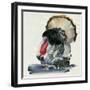 Watercolor Turkey II-Jennifer Parker-Framed Art Print