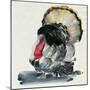 Watercolor Turkey II-Jennifer Parker-Mounted Art Print