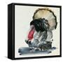 Watercolor Turkey II-Jennifer Parker-Framed Stretched Canvas