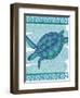 Watercolor Turtle-Melody Hogan-Framed Art Print