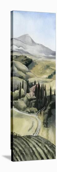 Watercolor Tuscany I-Grace Popp-Stretched Canvas