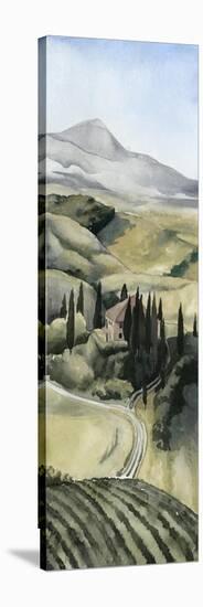 Watercolor Tuscany I-Grace Popp-Stretched Canvas