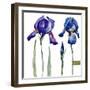 Watercolor Vector Drawing Flowers Blue Iris, Isolated Object, Botanical Floral Illustration Card-Anastasia Zenina-Lembrik-Framed Art Print