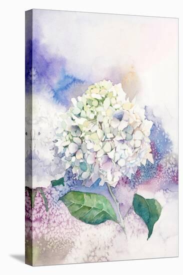 Watercolor White Hydrangea-Eisfrei-Stretched Canvas