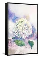 Watercolor White Hydrangea-Eisfrei-Framed Stretched Canvas