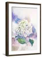 Watercolor White Hydrangea-Eisfrei-Framed Art Print