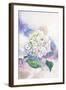 Watercolor White Hydrangea-Eisfrei-Framed Art Print