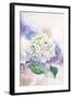 Watercolor White Hydrangea-Eisfrei-Framed Art Print